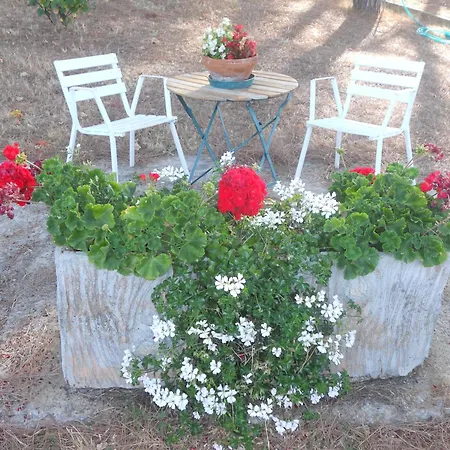 Primavera Barberino di Val dʼElsa