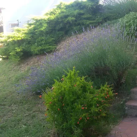Primavera Hotel Barberino di Val dʼElsa